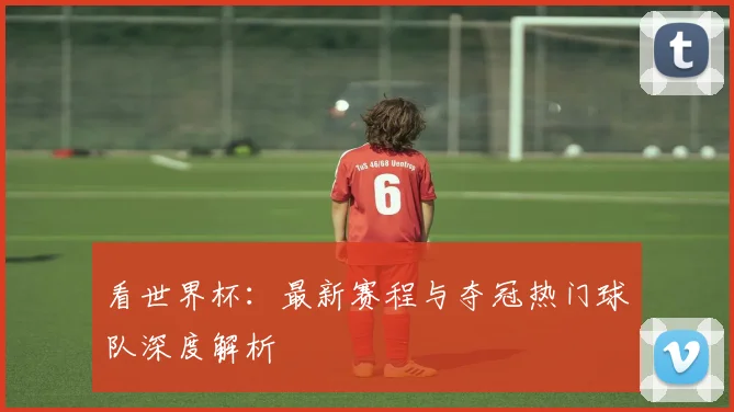 看世界杯：最新赛程与夺冠热门球队深度解析