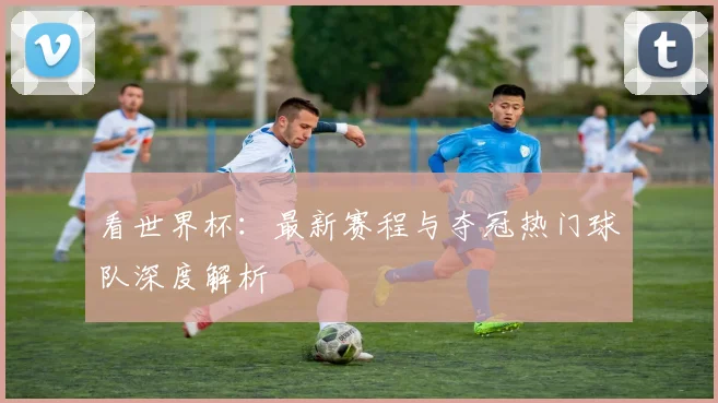 看世界杯：最新赛程与夺冠热门球队深度解析